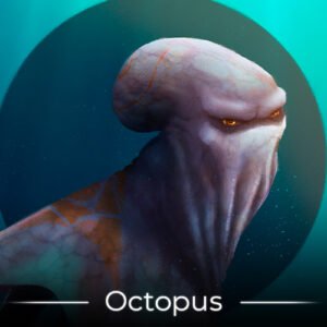 Octopus - Thumbnails 500x500px - Jean Bernard